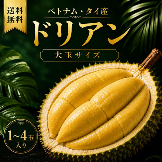 【期間限定価格】ドリアン