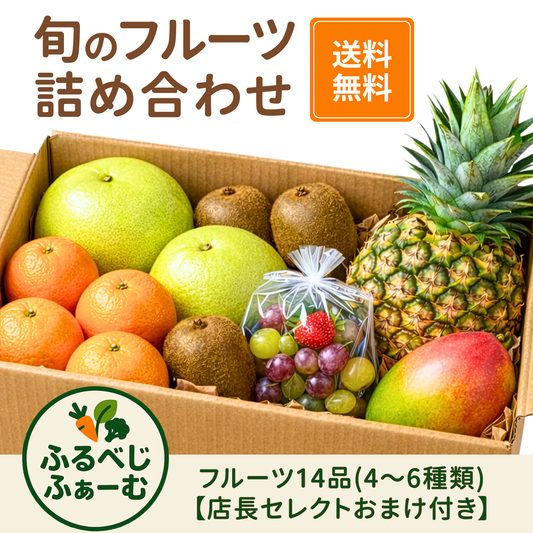 季節のフルーツ詰め合わせ｜14品入り（5種類前後）