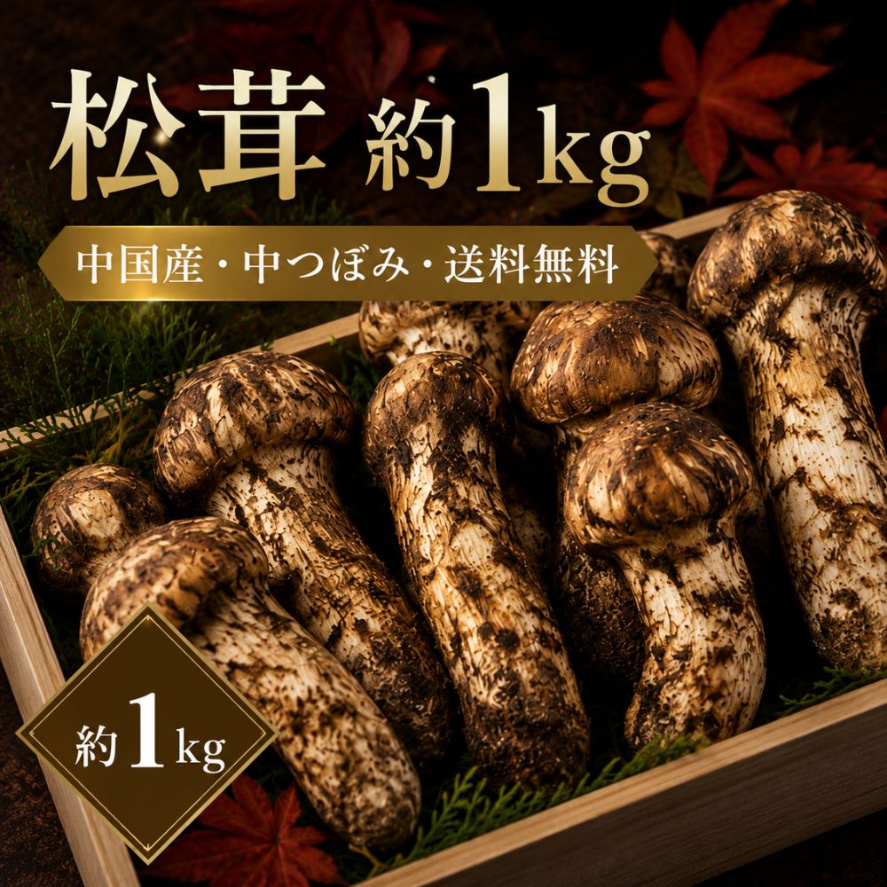 松茸（中つぼみ）