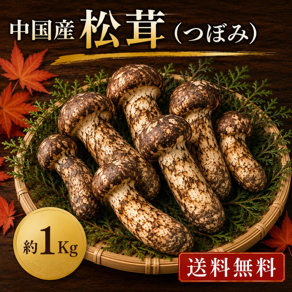 松茸（つぼみ）