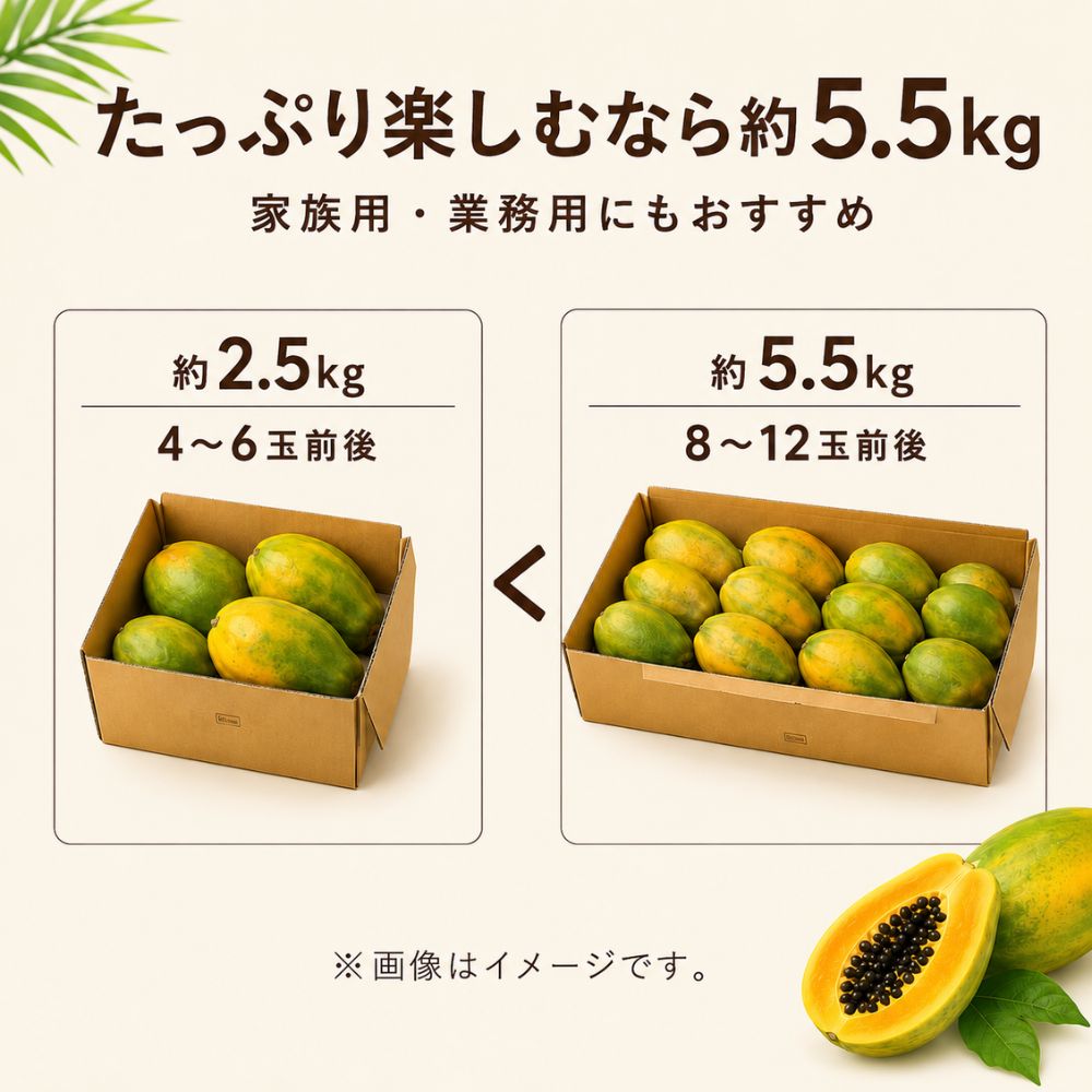 フィリピン産 パパイヤ