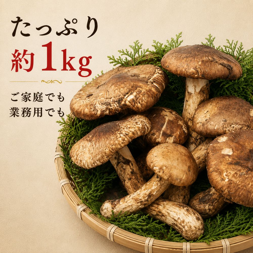 松茸（開き）