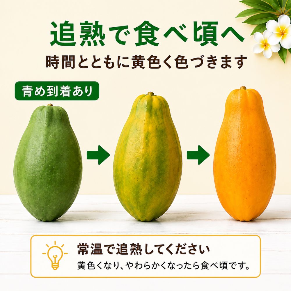 ハワイ産 パパイヤ