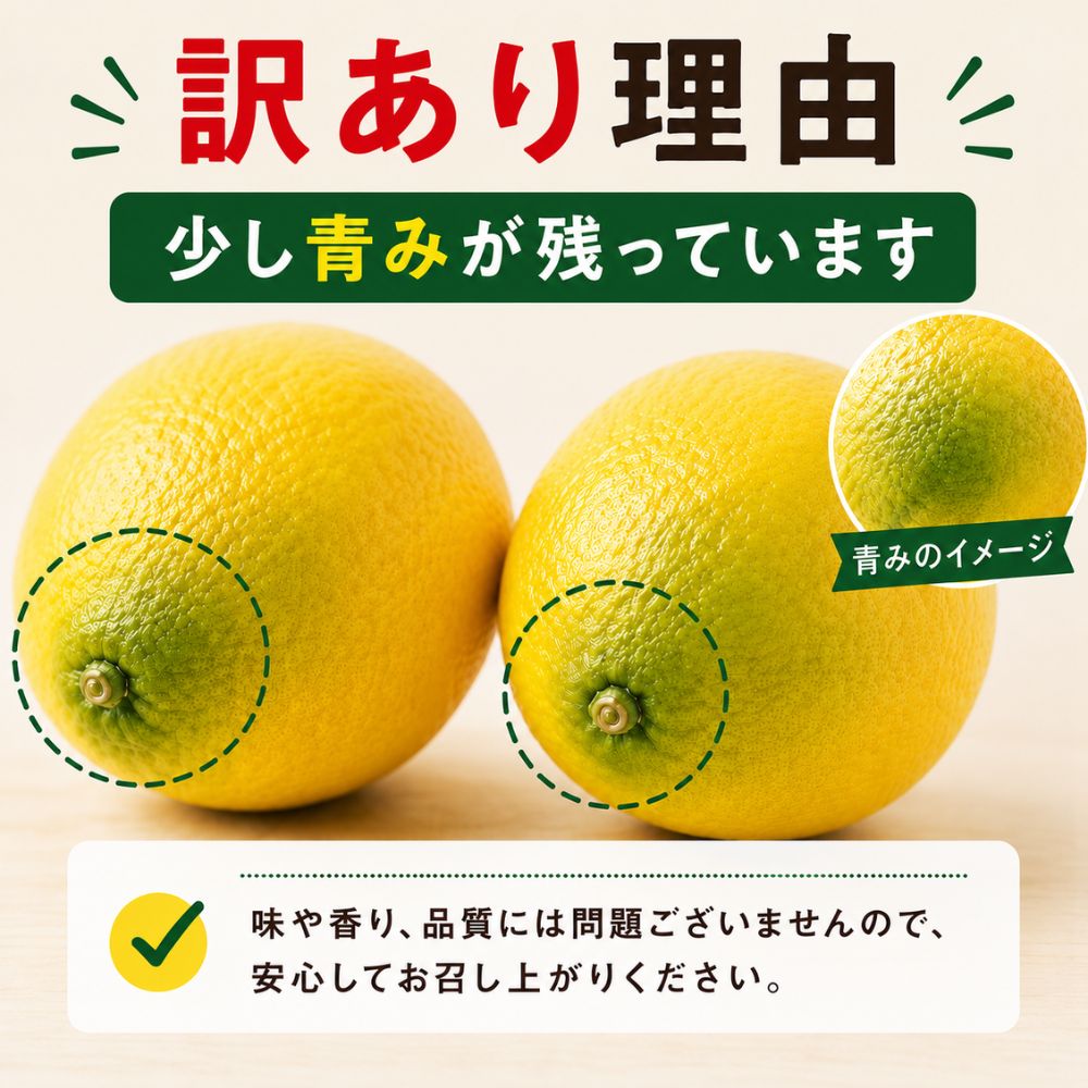 訳ありレモン