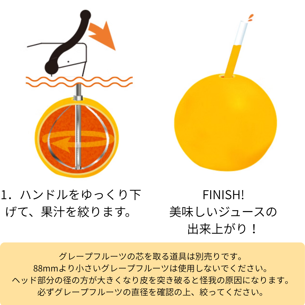 カジュッタ(オレンジ1ケース付き）