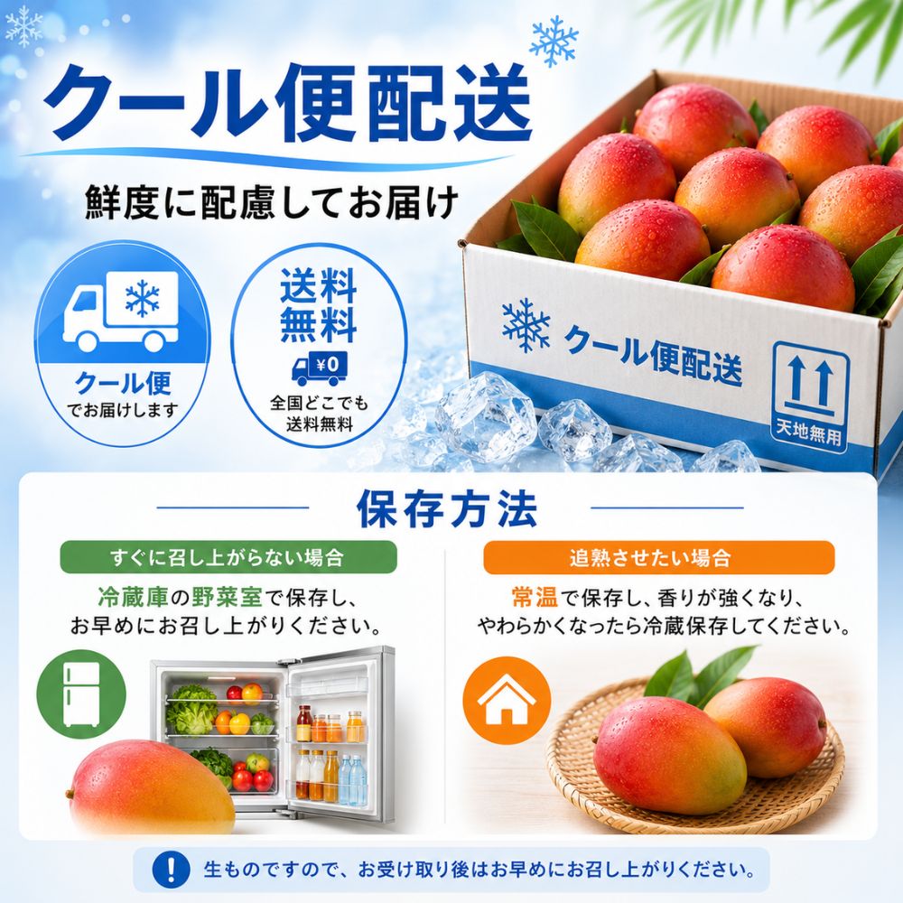 マンゴー　ケント種