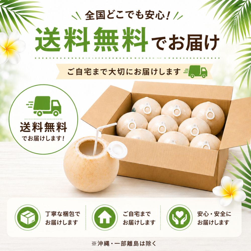 COCOLALA ヤングココナッツ 3kg（9玉前後）