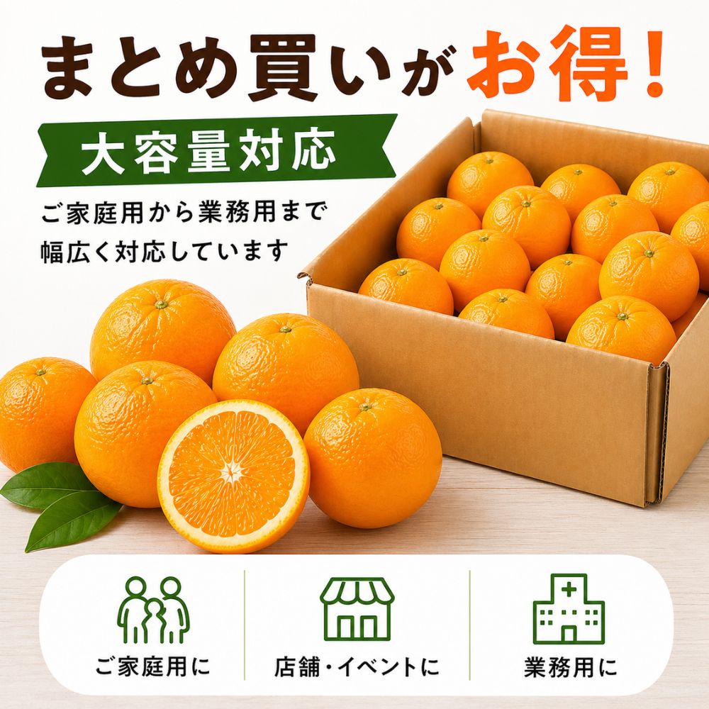アメリカ産オレンジ