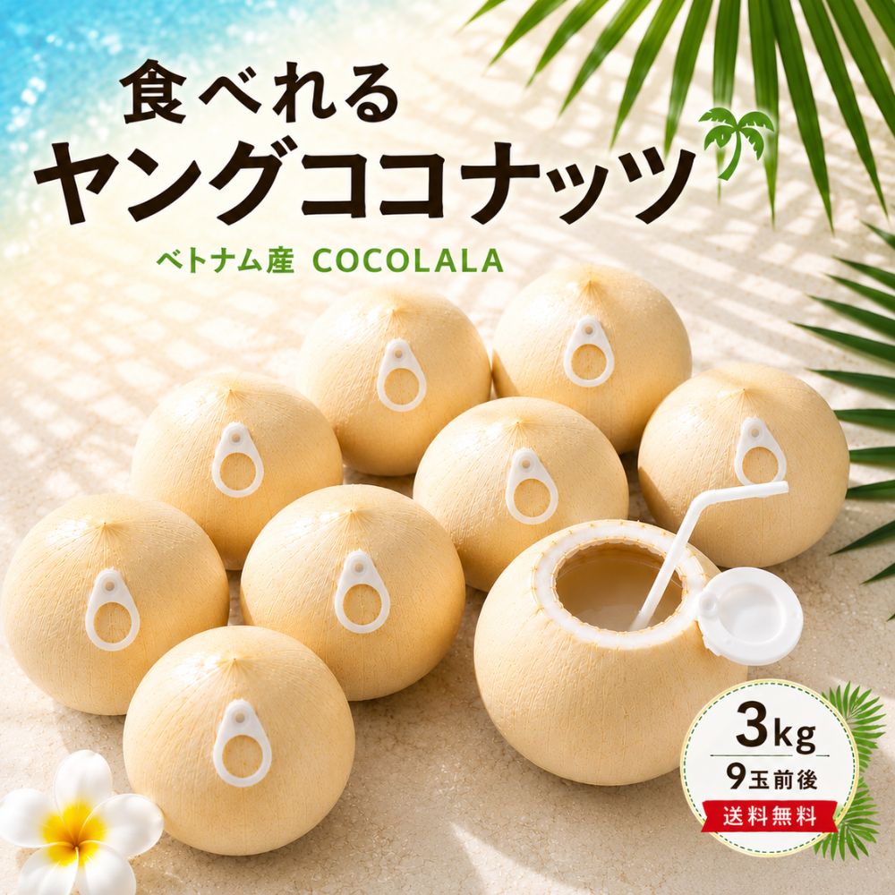 COCOLALA ヤングココナッツ 3kg（9玉前後）