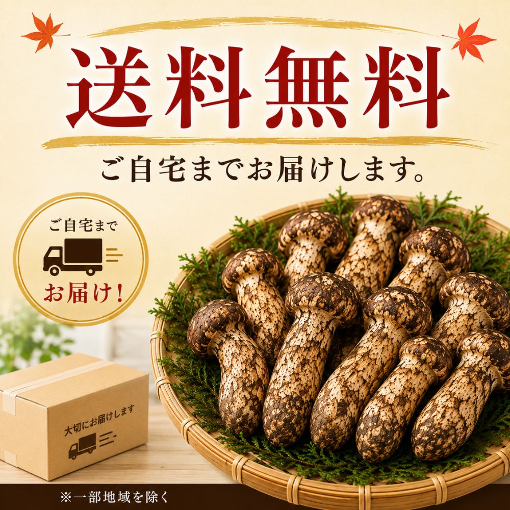 松茸（つぼみ）