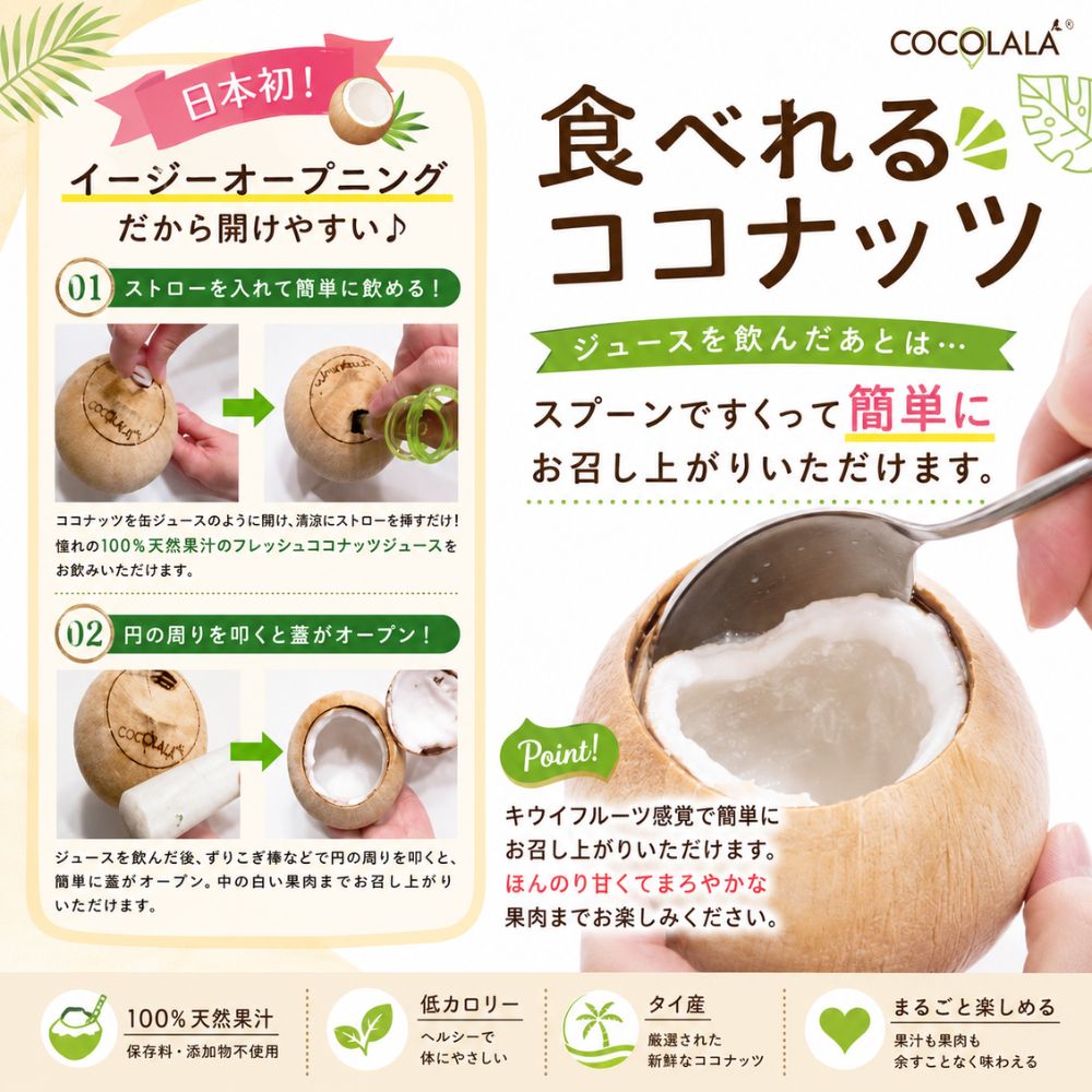 COCOLALA ヤングココナッツ 3kg（9玉前後）