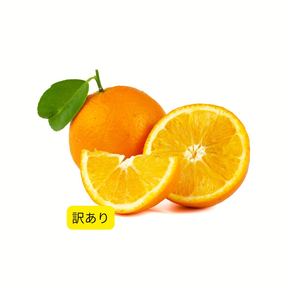 訳ありオレンジ