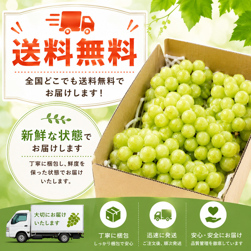アメリカ産 種なしぶどう 約8kg