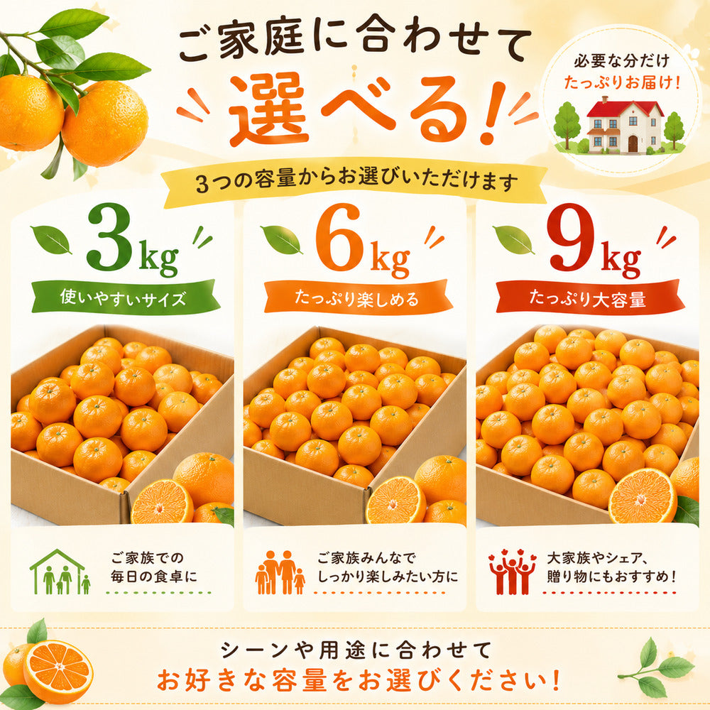 【選べる容量 】ペルー産みかん 3kg～9kg 送料無料 柑橘 フルーツ 果物 大容量