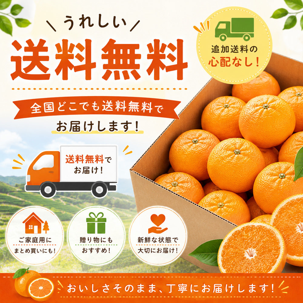 【選べる容量 】ペルー産みかん 3kg～9kg 送料無料 柑橘 フルーツ 果物 大容量