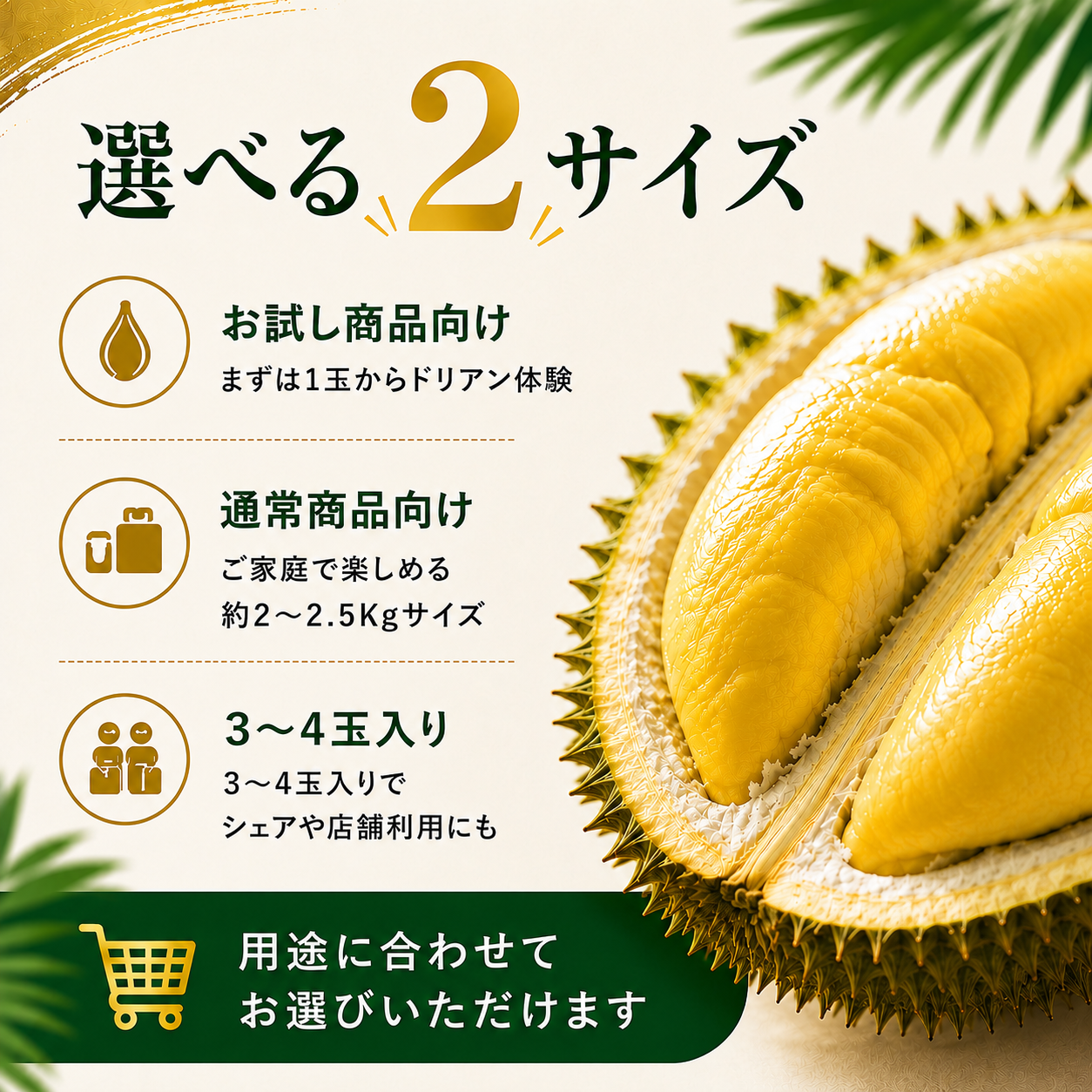 【期間限定価格】ドリアン