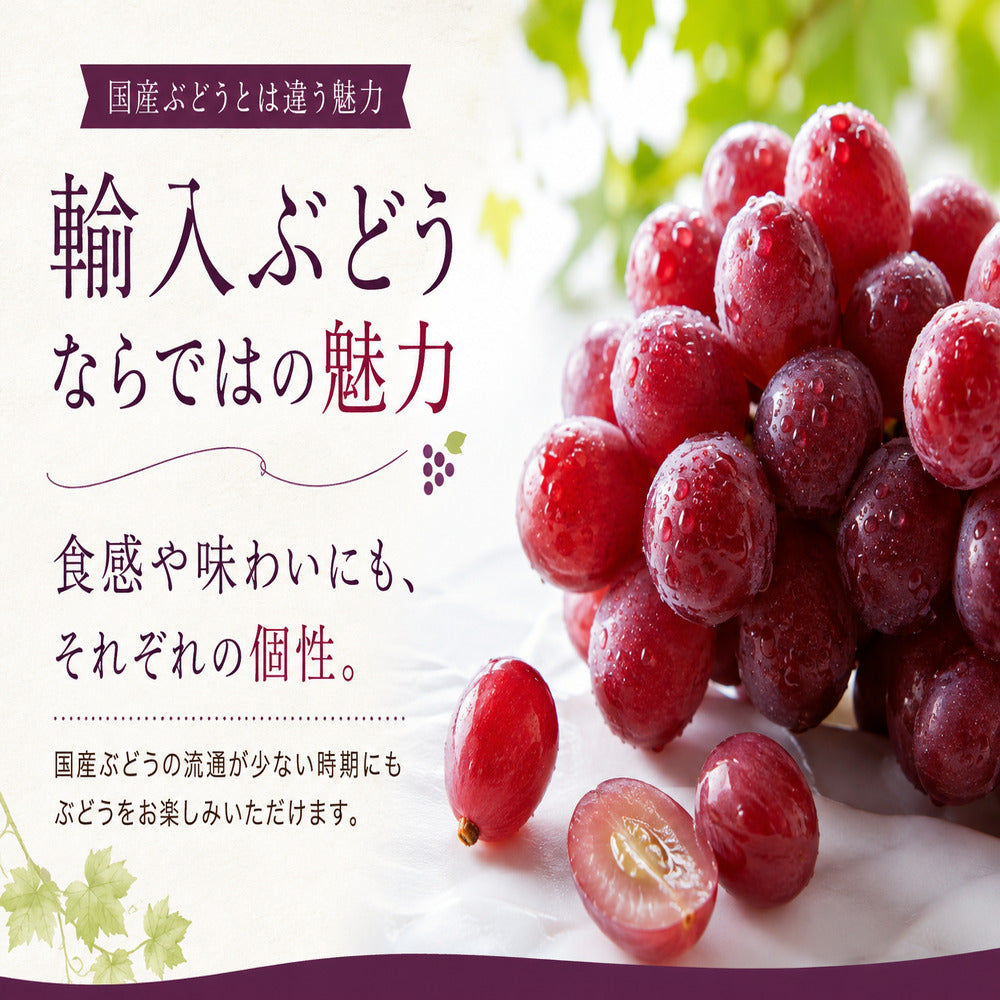 アメリカ産 種なし赤ぶどう