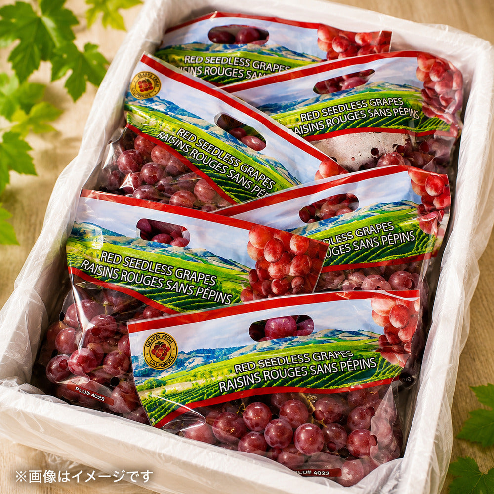 アメリカ産 種なし赤ぶどう