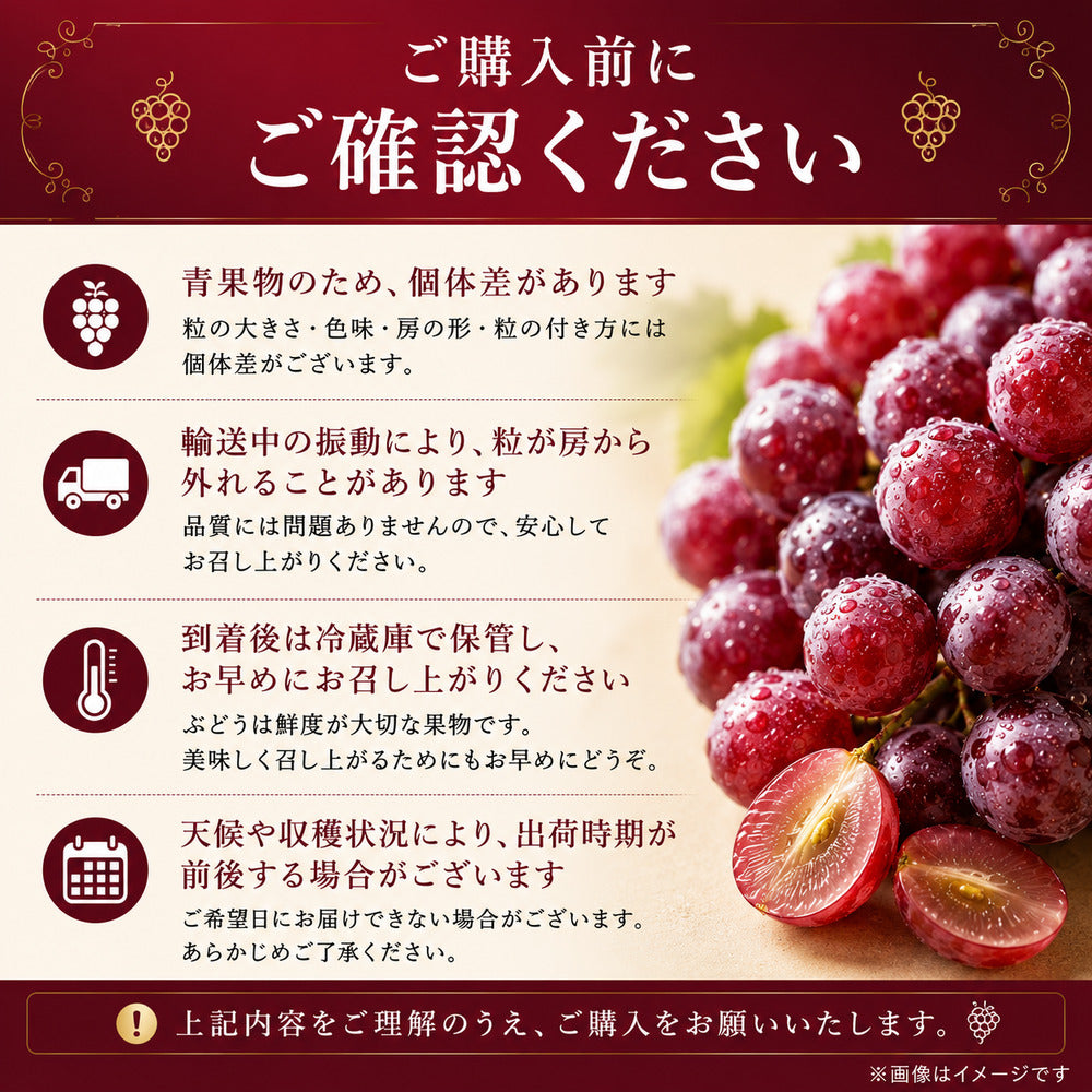 アメリカ産 種なし赤ぶどう