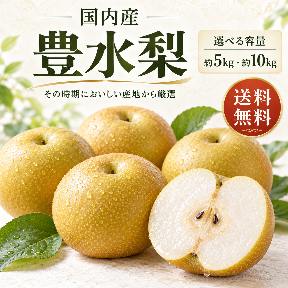【豊水 梨】国内産 約5kg／約10kg 旬の梨 甘くてジューシー 送料無料