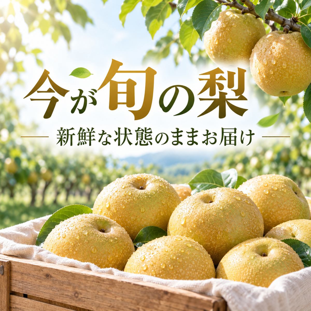 【豊水 梨】国内産 約5kg／約10kg 旬の梨 甘くてジューシー 送料無料