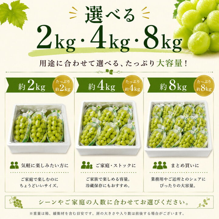 アメリカ産 種無しぶどう