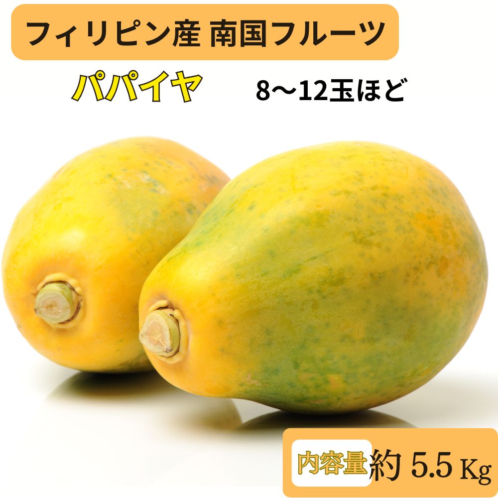 フィリピン産パパイヤ