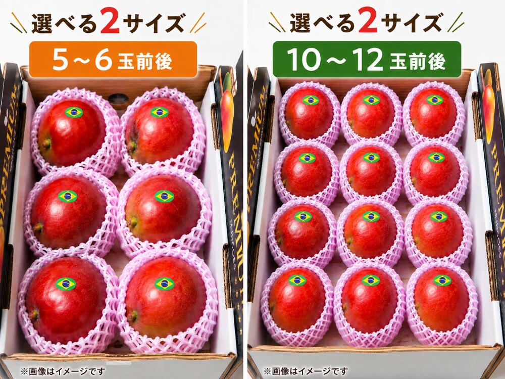 アップルマンゴー（ブラジル産）